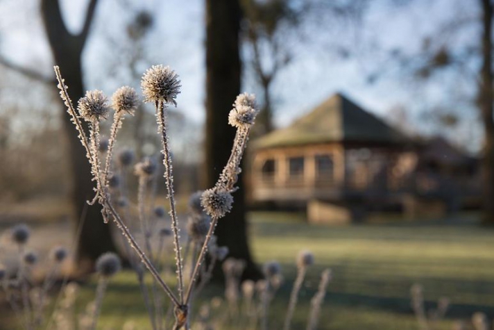 Hotel Le Vieux Moulin