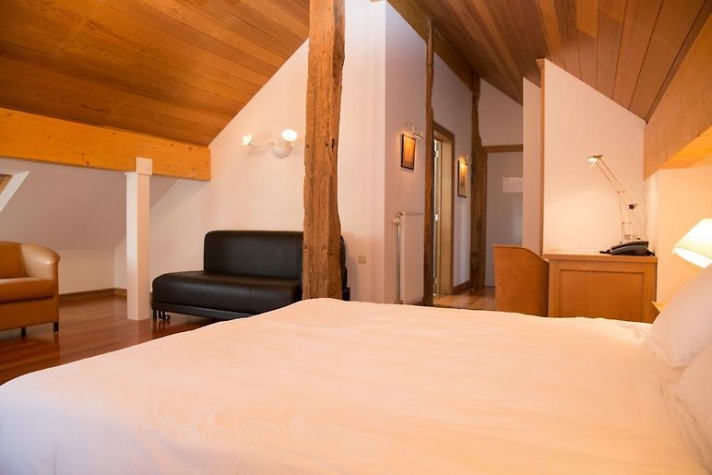 Hotel Le Vieux Moulin