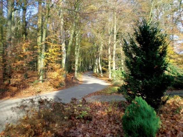 Fletcher Hotel-Restaurant Paasberg