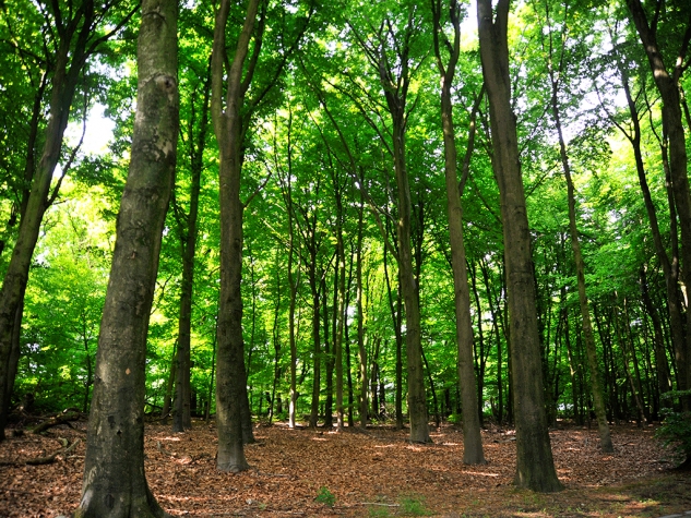 Fletcher Hotel-Restaurant Doorwerth-Arnhem