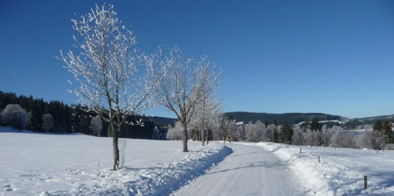 Wellnesshotel Auerhahn