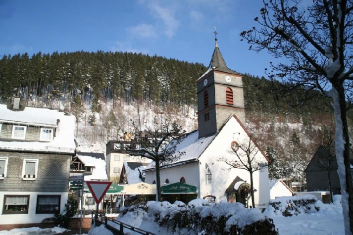 Wellness Hotel Waldecker Hof