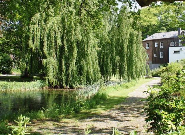 Parkhotel Villa des Effats