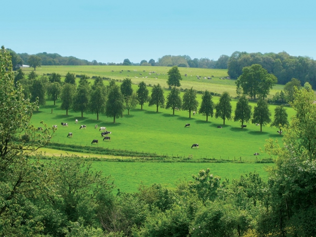 Fletcher Hotel-Restaurant De Burghoeve