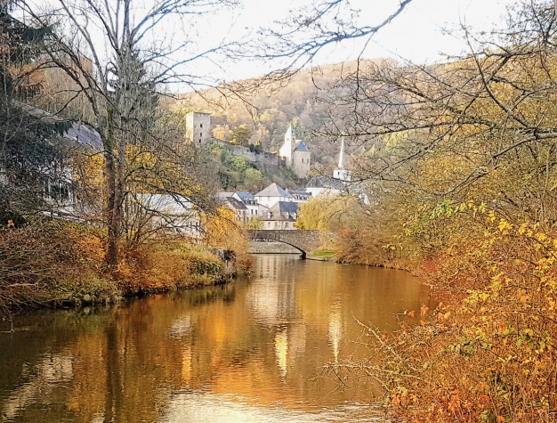 Logis Gourmet & Relax Hotel de la Sure