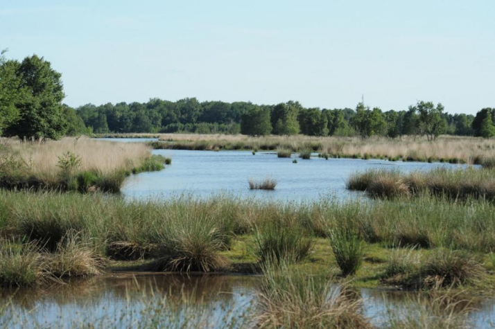 Wellness Hotel & Golf Resort Zuiddrenthe