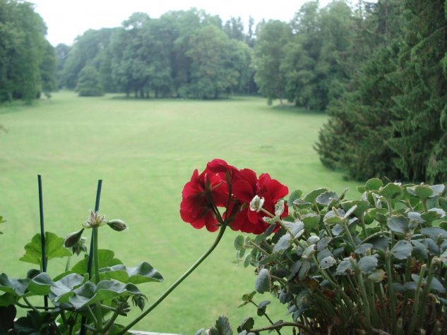 Château d'Hassonville