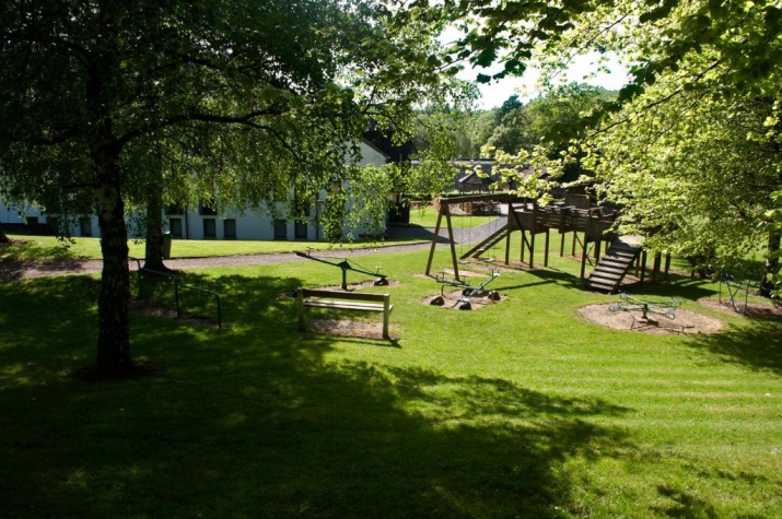 Corsendonk Sol Cress