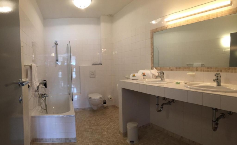 Hotel Le Vieux Moulin