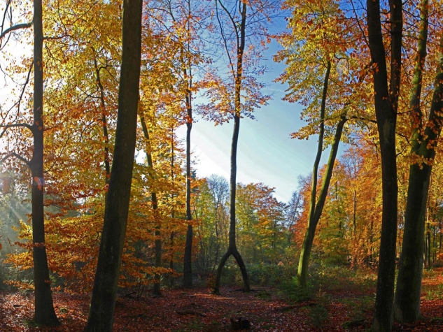 Fletcher Hotel-Restaurant De Buunderkamp