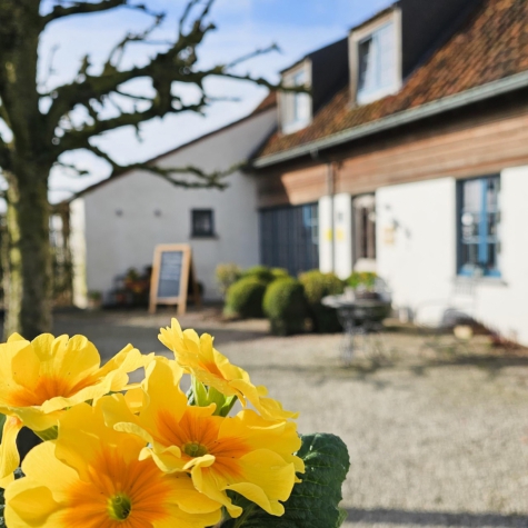 Boutique B&B Droomkerke