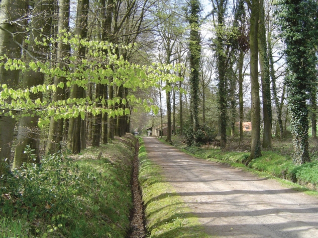 Fletcher Hotel-Restaurant De Grote Zwaan