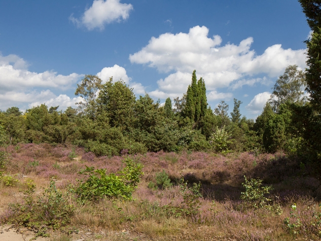 Fletcher Hotel-Restaurant Sallandse Heuvelrug