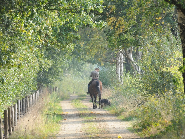 Fletcher Landhotel Bosrijk Roermond