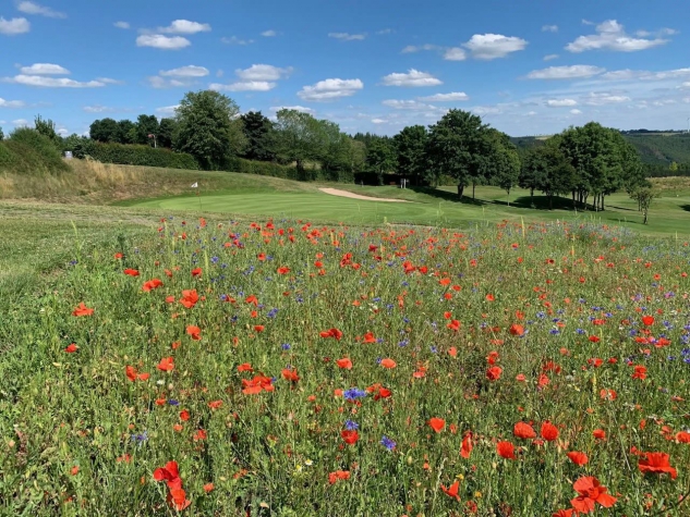 Hotel & Restaurant Golf de Clervaux