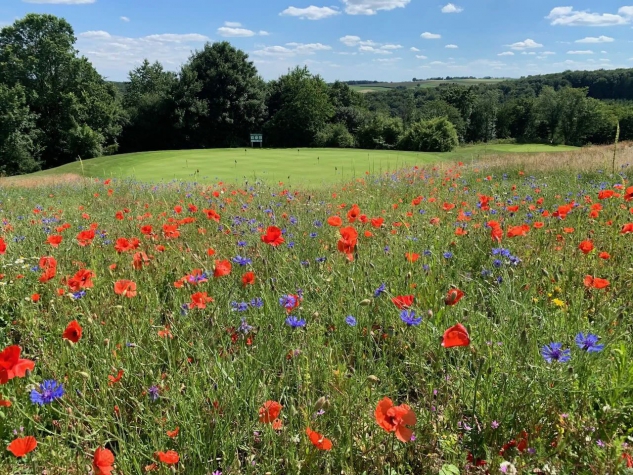 Hotel & Restaurant Golf de Clervaux