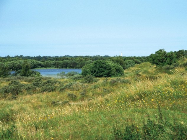 Fletcher Hotel-Restaurant Heidehof