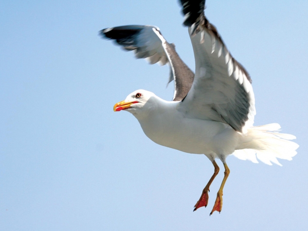 Fletcher Badhotel Egmond aan Zee