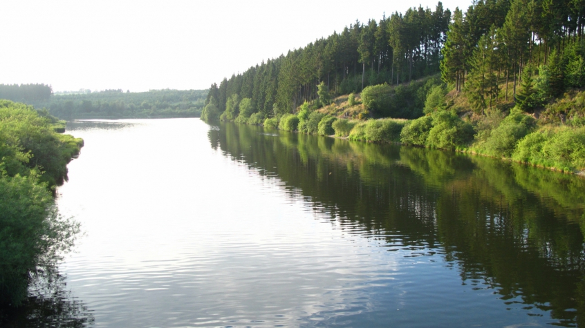 Wellness Hotel Seehof