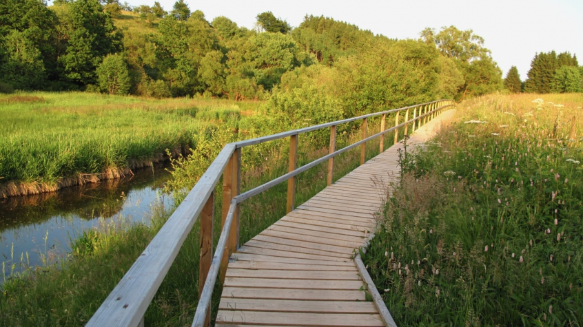 Wellness Hotel Seehof