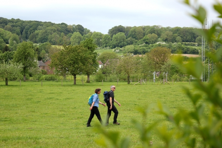 Saillant Hotel Brull