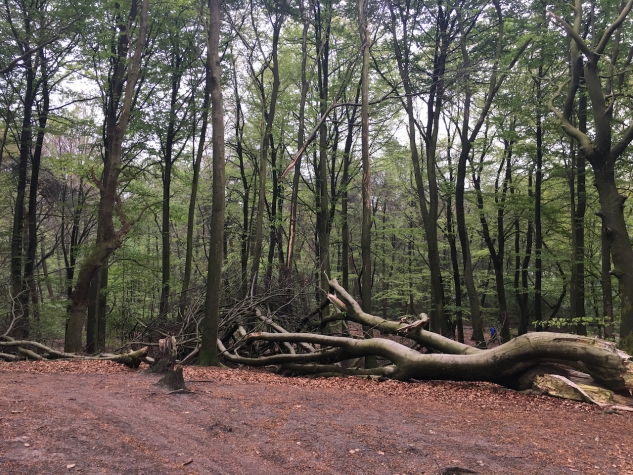 Hotel De Werelt Garderen