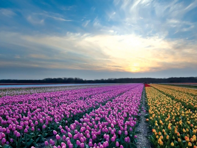 Fletcher Badhotel Egmond aan Zee