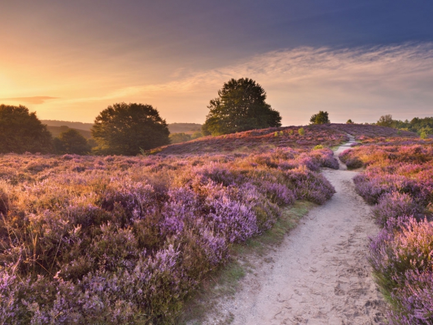 Fletcher Hotel-Restaurant Klein Zwitserland