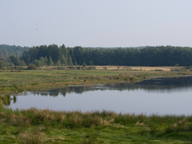Fletcher Landhotel Bosrijk Roermond