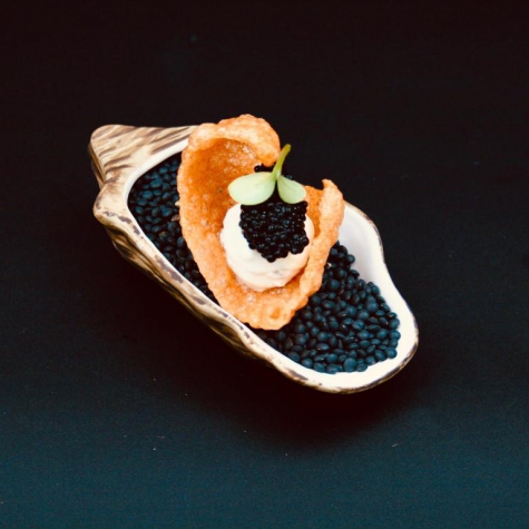 Landhuis Logan Landing