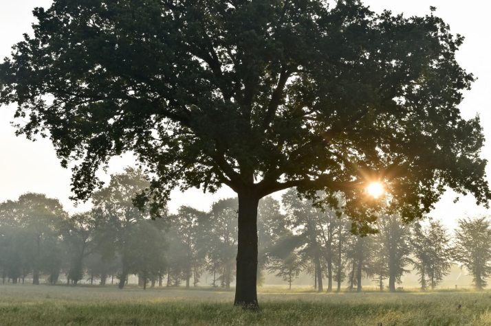 Landhuishotel Herikerberg