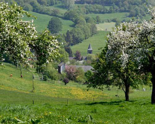 Hotel Klein Zwitserland