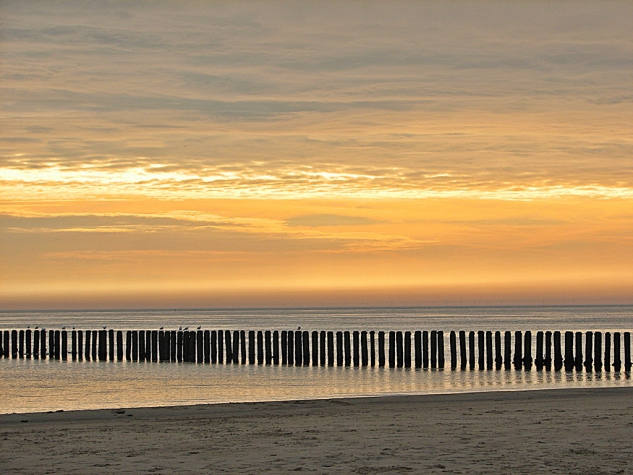 Fletcher Beachhotel Zuiderduin