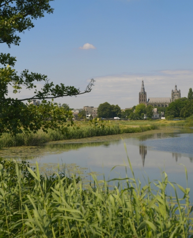 Golden Tulip Hotel Central