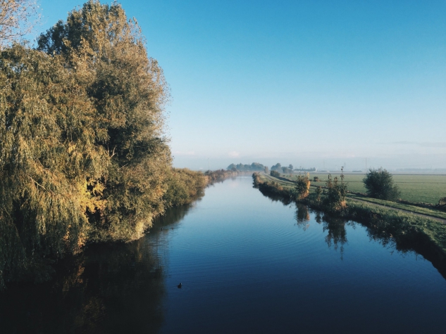 Frieslandhotel WeidumerHout