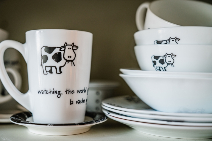 Eurobody Wellness Home