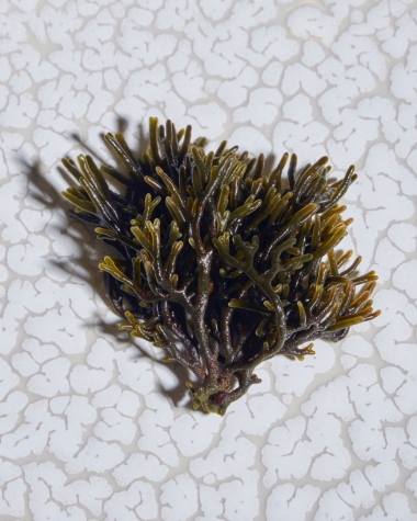 Boutique Hotel ter Zand - Handwritten Collection