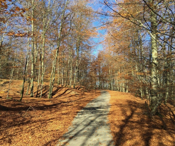 Hotel Le Val de Poix