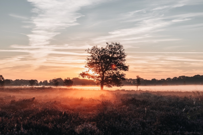 Hotel & Restaurant Wesseling