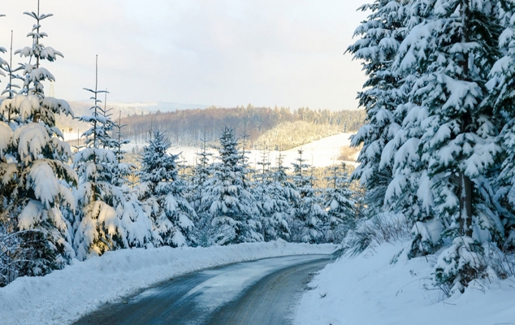 Parkhotel Andreasberg