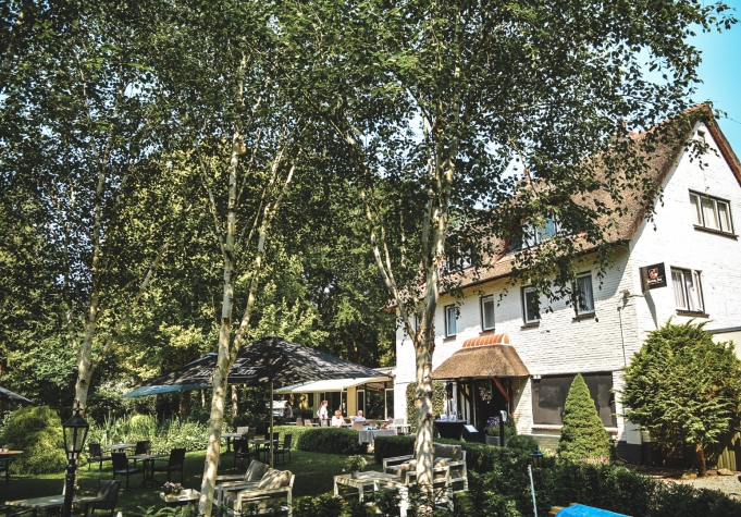 Witte Berken Natuurhotel