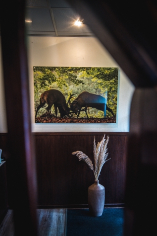 Witte Berken Natuurhotel