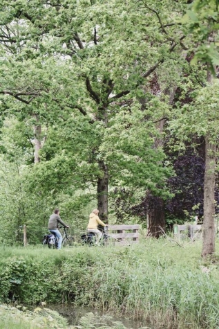Zoomers aan het Bos